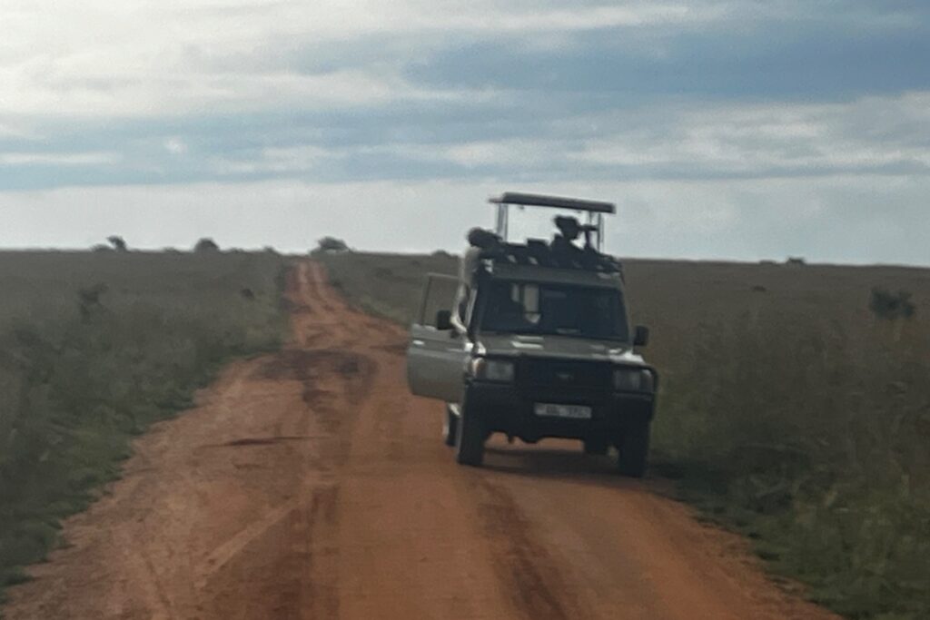 Safarijeep met open dak op een savannepad in Murchison Falls National Park
