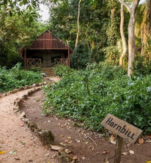 Kibale-Forest-Camp-Safari