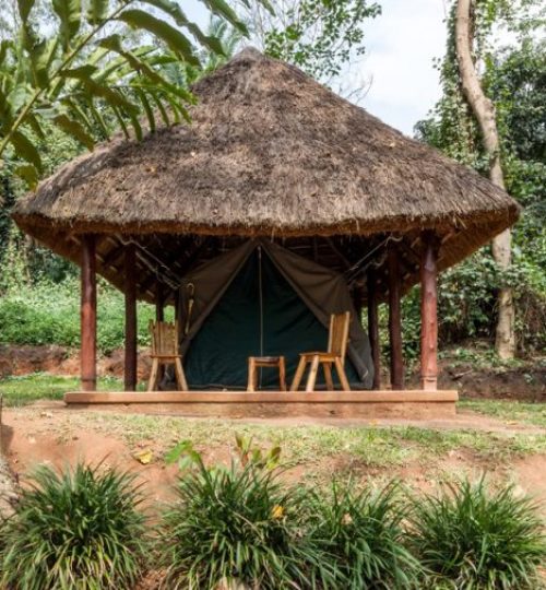 Kibale-Forest-Camp-Tent-vooraanzicht
