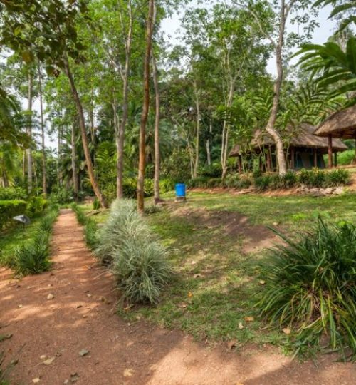 Kibale-Forest-Camp-scenery