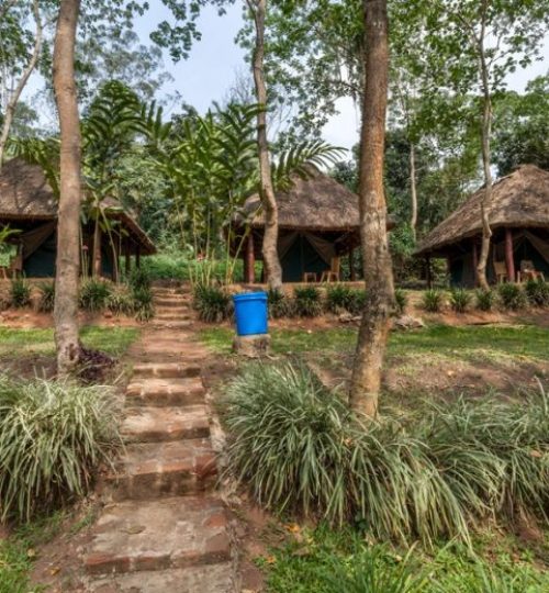 Kibale-Forest-Camp-zicht