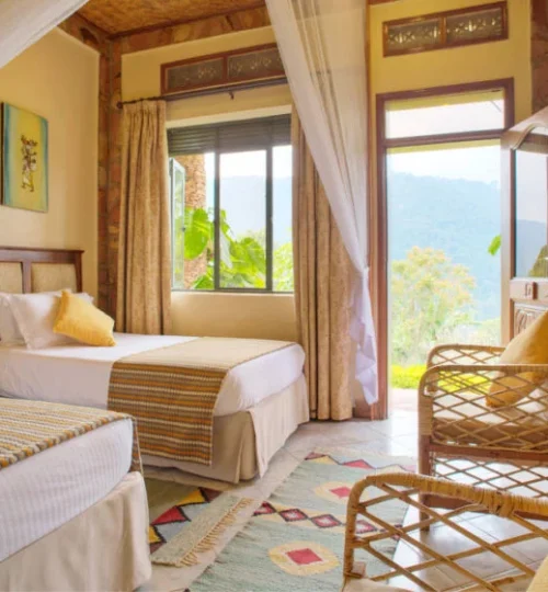 Silverback-lodge-twin