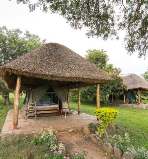 Tent-Fort-Murchison-tent