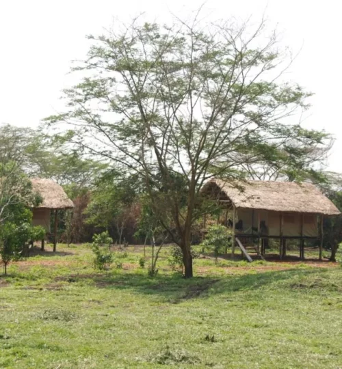 enjojo-lodge-cottages