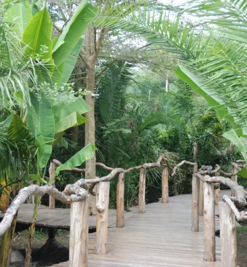 enjojo-lodge-gangpad