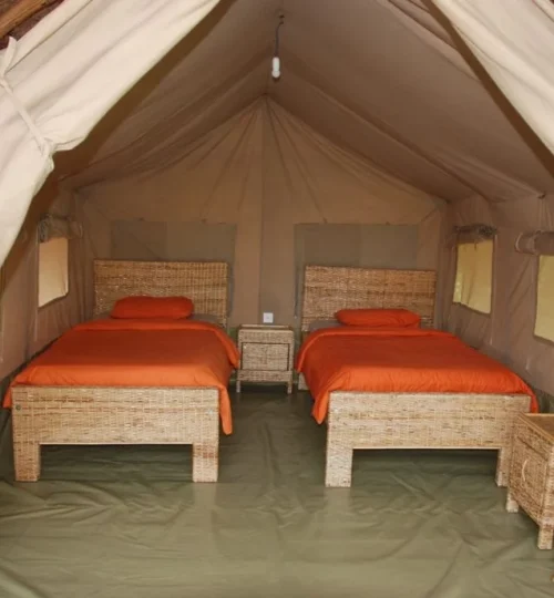 enjojo-lodge-tent