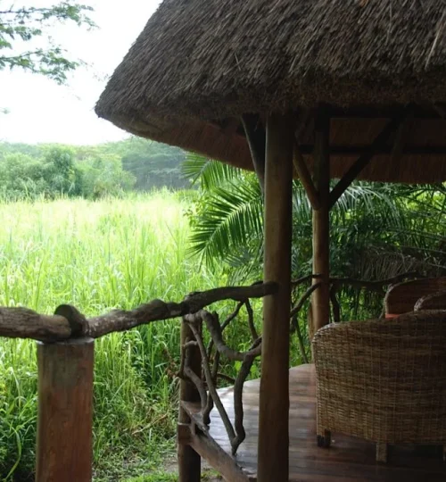 enjojo-lodge-zijaanzicht-cottage