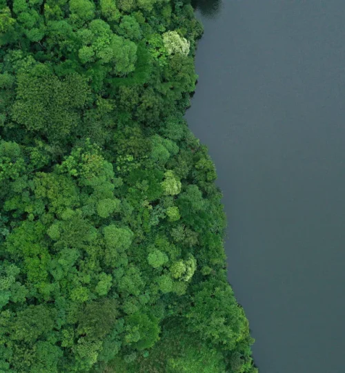 papaya-lake-lodge-bovenaanzicht