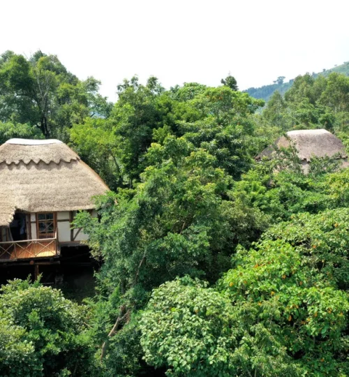 papaya-lake-lodge-cottage