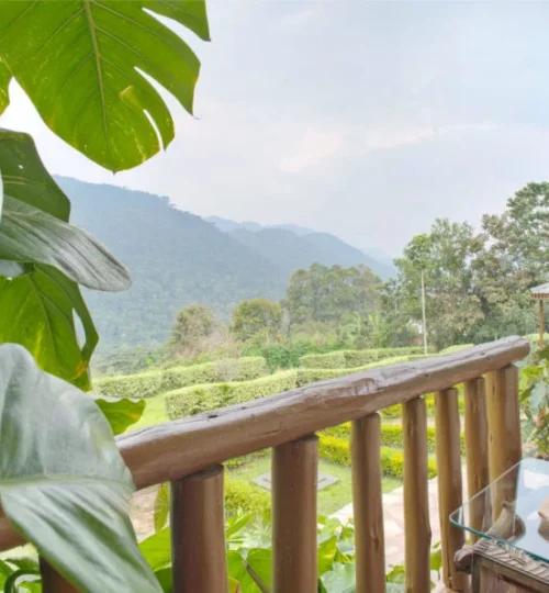 silverback-lodge-balkon