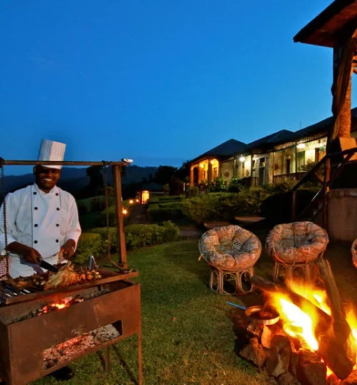 silverback-lodge-barbecue