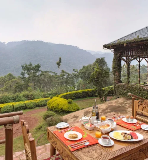 silverback-lodge-buiten-terras