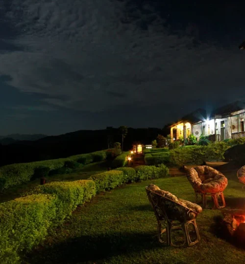 silverback-lodge-by-night