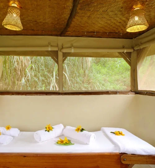 silverback-lodge-massage