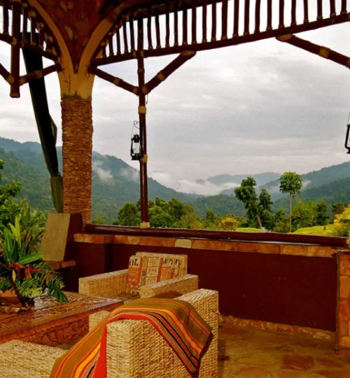 silverback-lodge-zicht